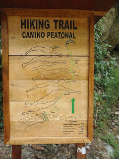 hiking trail, machu pichu, diabetes